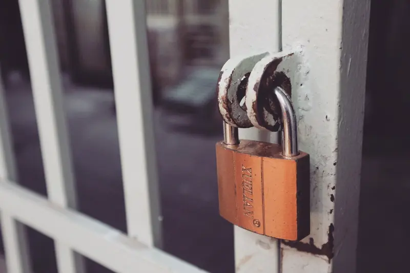 Video Conferencing Security Reviews