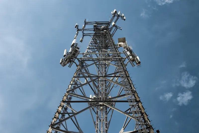 What Are Routers and Why Does My Business Need Them?