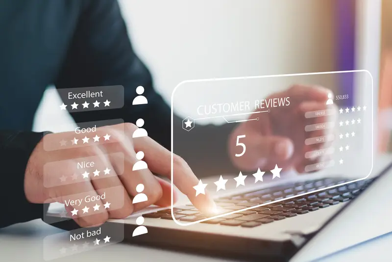 Customer Reviews - A Double-Edged Sword 