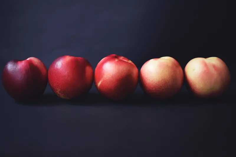 How an ERP Comparison Helps You Select the Best ERP Software