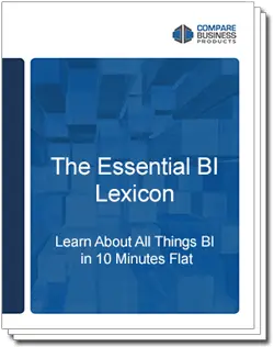 the-essential-bi-lexicon