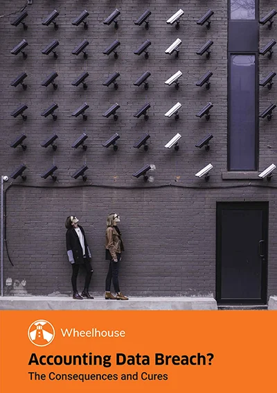 accounting-data-breach-consequences-cures