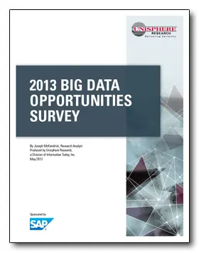 2013-big-data-opportunities-survey