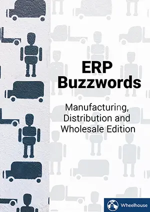 erp-buzzwords
