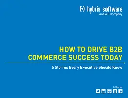 how-to-drive-b2b-commerce-success-today