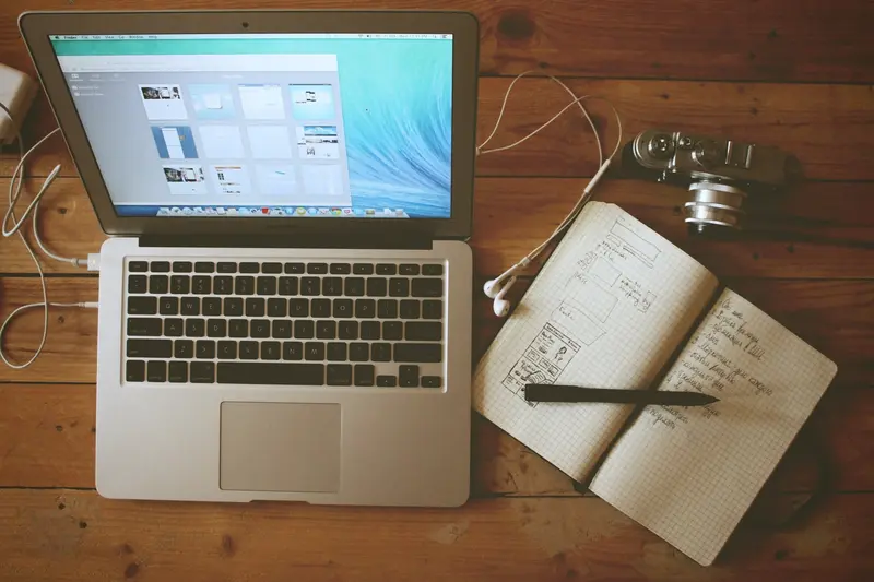 What are the Disadvantages of LMS?